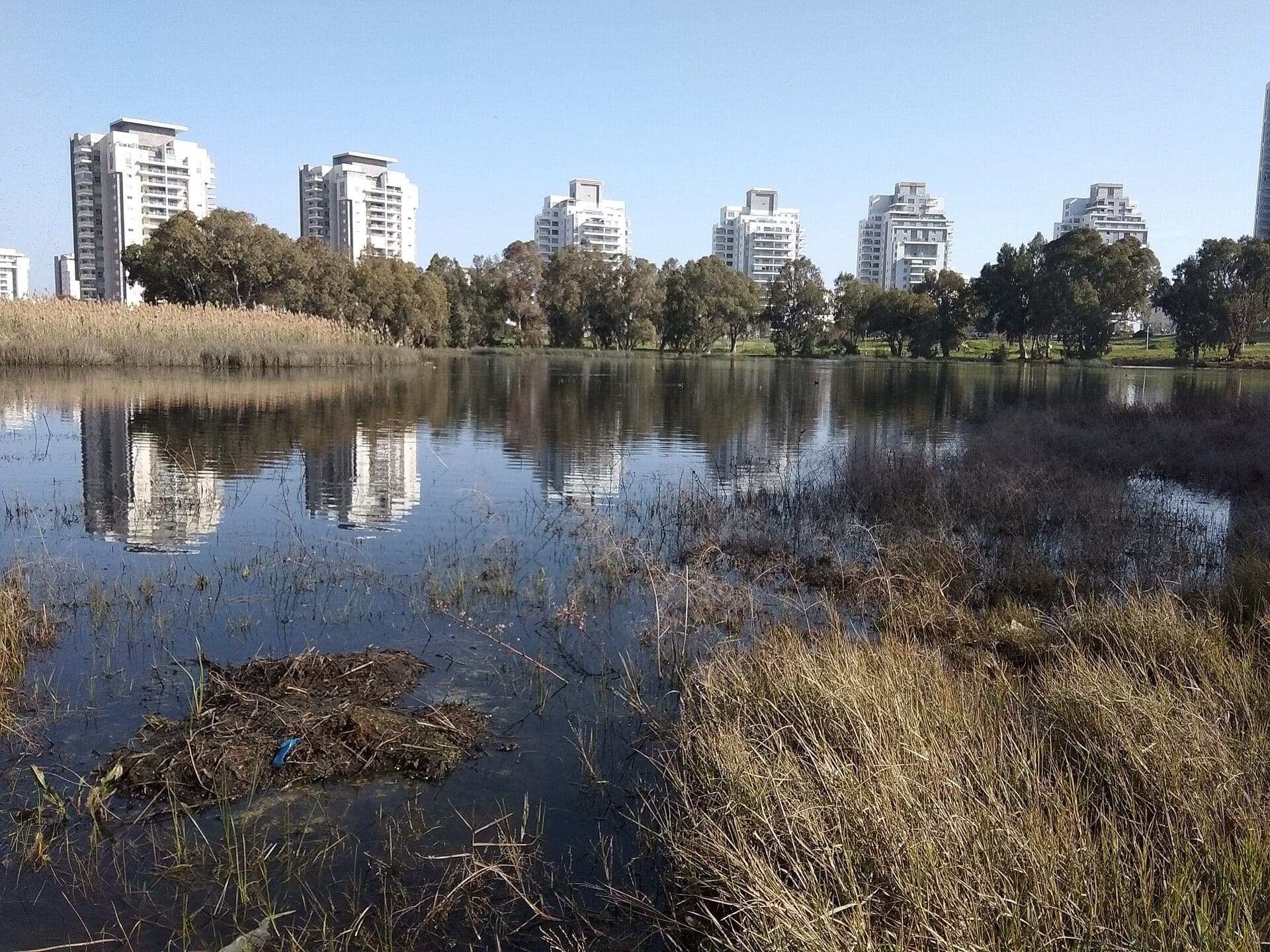 אגם החורף בפארק אגם החורף בנתניה