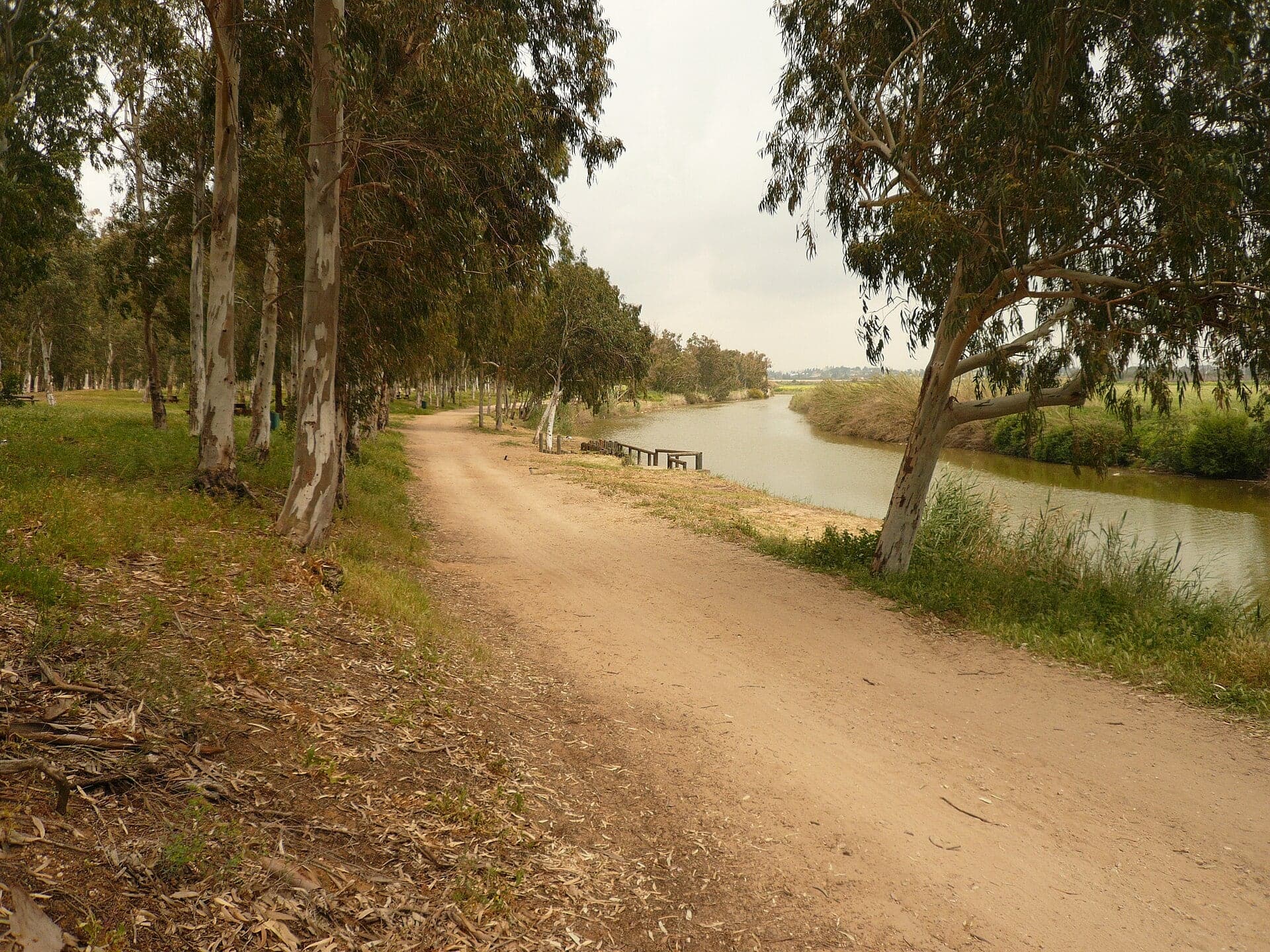 A trail along the Alexander stream in the national park